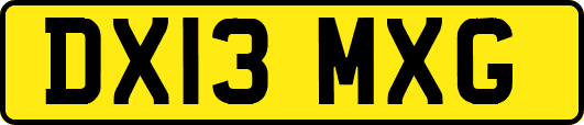 DX13MXG