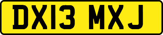 DX13MXJ