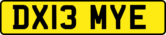 DX13MYE