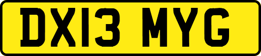 DX13MYG