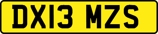 DX13MZS