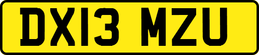 DX13MZU