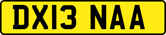 DX13NAA