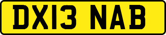 DX13NAB