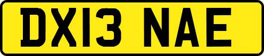 DX13NAE