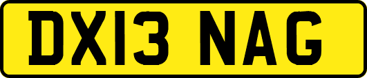 DX13NAG