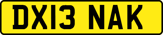 DX13NAK
