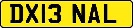 DX13NAL