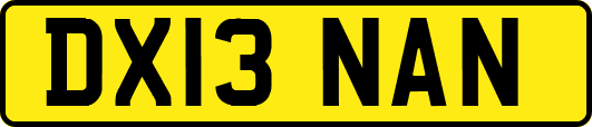DX13NAN