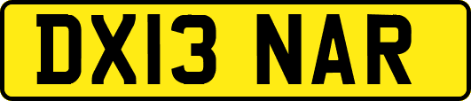 DX13NAR