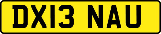 DX13NAU