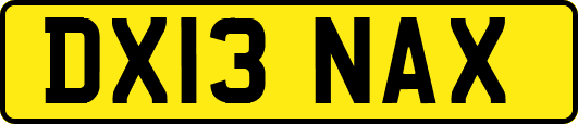 DX13NAX