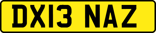 DX13NAZ