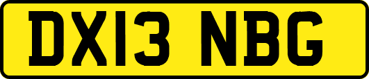 DX13NBG