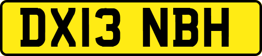 DX13NBH