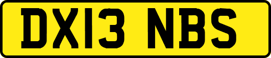 DX13NBS