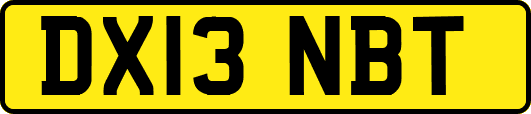 DX13NBT