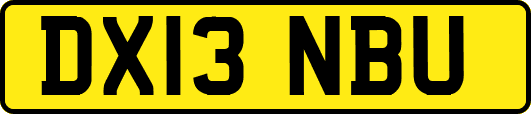 DX13NBU