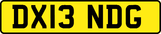 DX13NDG