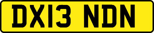 DX13NDN