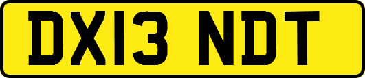 DX13NDT