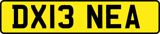 DX13NEA