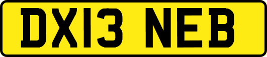 DX13NEB