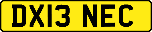 DX13NEC