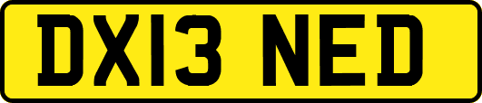 DX13NED