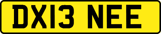 DX13NEE