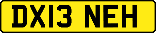 DX13NEH