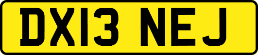 DX13NEJ