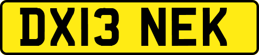 DX13NEK