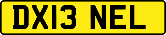 DX13NEL