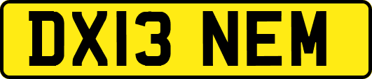 DX13NEM