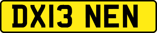 DX13NEN