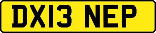 DX13NEP