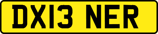 DX13NER