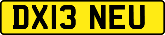 DX13NEU