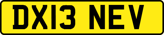 DX13NEV