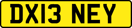 DX13NEY
