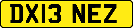 DX13NEZ