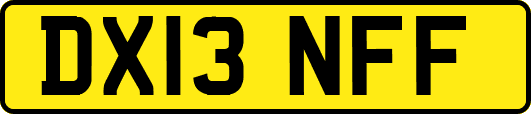 DX13NFF