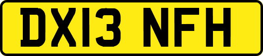 DX13NFH