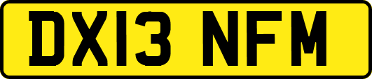 DX13NFM