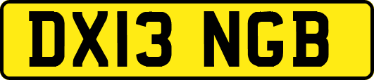 DX13NGB