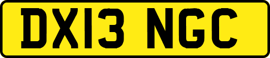 DX13NGC