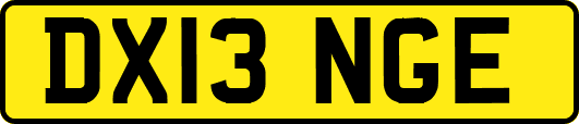 DX13NGE