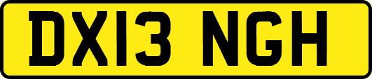 DX13NGH