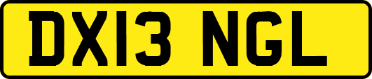 DX13NGL